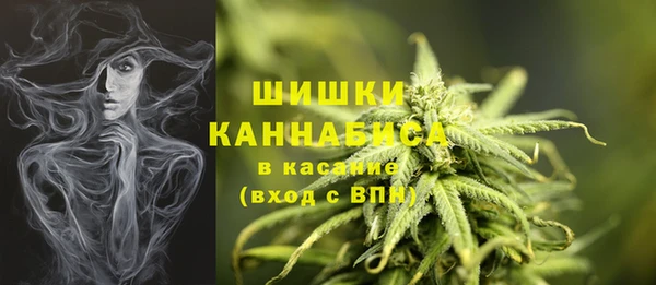 бошки Алексин