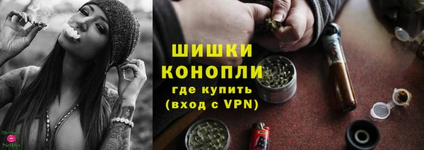бошки Алексин