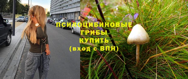 бошки Алексин