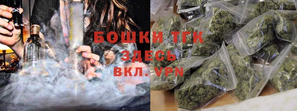 бошки Алексин